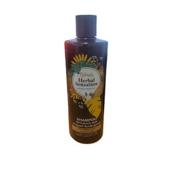 هيربال سينسيشن شامبو حبة بركة - Herbal Sensation Shampoo Black Seed (600ml)